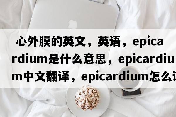  心外膜的英文，英語(yǔ)，epicardium是什么意思，epicardium中文翻譯，epicardium怎么讀、發(fā)音、用法及例句