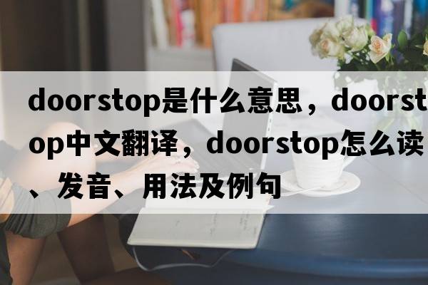 doorstop是什么意思，doorstop中文翻譯，doorstop怎么讀、發(fā)音、用法及例句