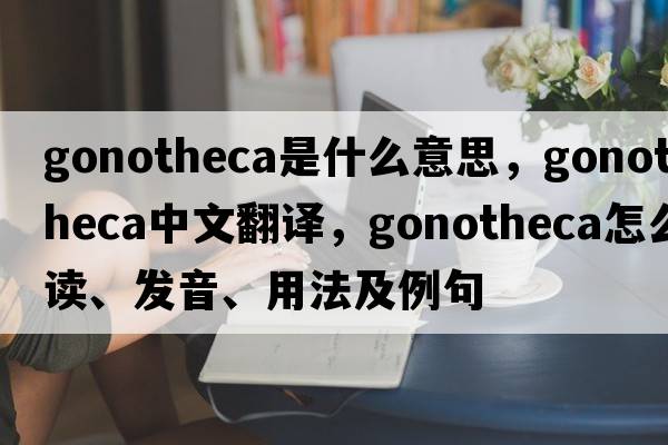 gonotheca是什么意思，gonotheca中文翻譯，gonotheca怎么讀、發(fā)音、用法及例句