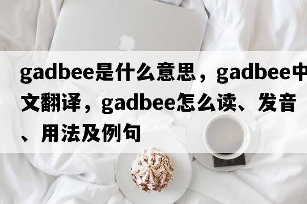 gadbee是什么意思，gadbee中文翻譯，gadbee怎么讀、發(fā)音、用法及例句