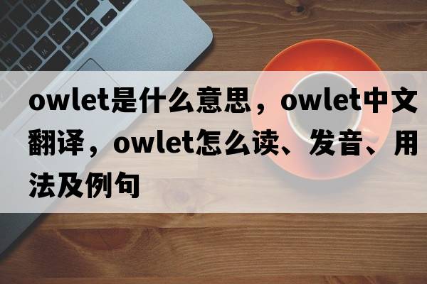 owlet是什么意思，owlet中文翻譯，owlet怎么讀、發(fā)音、用法及例句