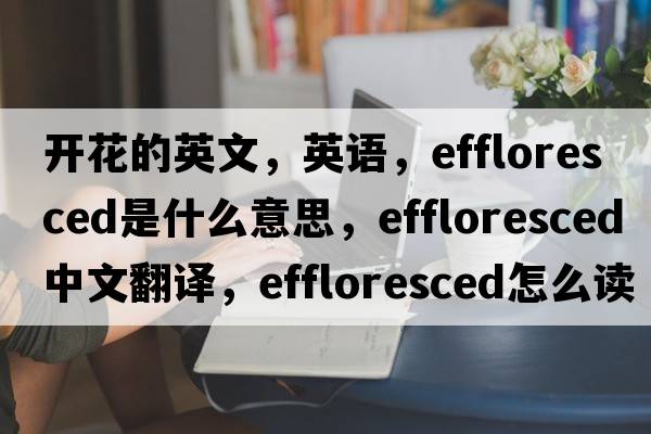 開(kāi)花的英文，英語(yǔ)，effloresced是什么意思，effloresced中文翻譯，effloresced怎么讀、發(fā)音、用法及例句