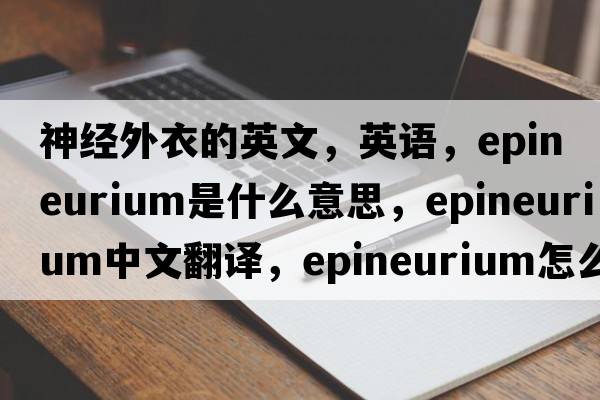 神經(jīng)外衣的英文，英語(yǔ)，epineurium是什么意思，epineurium中文翻譯，epineurium怎么讀、發(fā)音、用法及例句