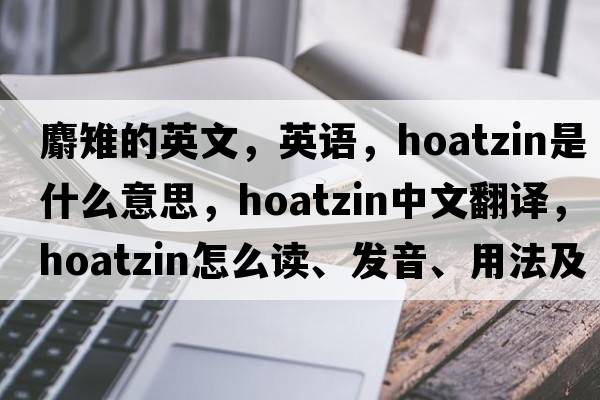 麝雉的英文，英語(yǔ)，hoatzin是什么意思，hoatzin中文翻譯，hoatzin怎么讀、發(fā)音、用法及例句