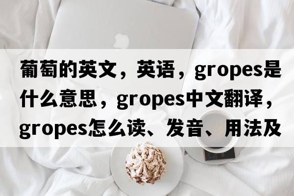 葡萄的英文，英語(yǔ)，gropes是什么意思，gropes中文翻譯，gropes怎么讀、發(fā)音、用法及例句