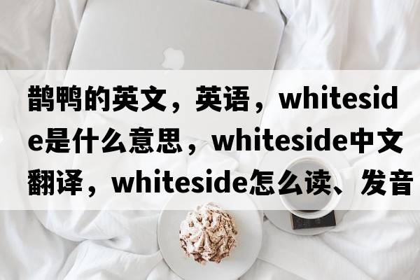 鵲鴨的英文，英語(yǔ)，Whiteside是什么意思，Whiteside中文翻譯，Whiteside怎么讀、發(fā)音、用法及例句
