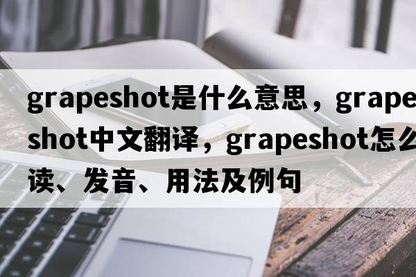 grapeshot是什么意思，grapeshot中文翻譯，grapeshot怎么讀、發(fā)音、用法及例句