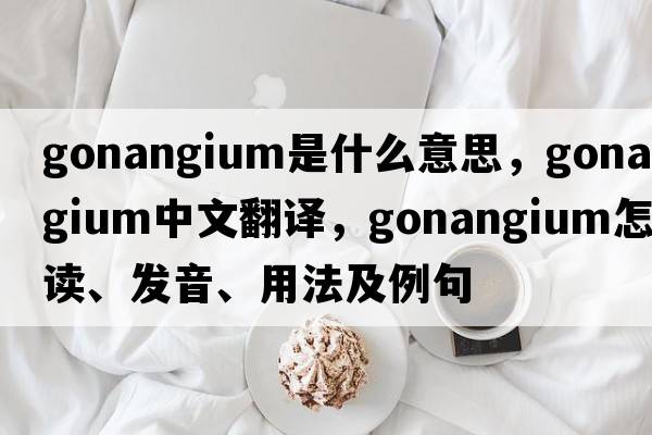 gonangium是什么意思，gonangium中文翻譯，gonangium怎么讀、發(fā)音、用法及例句