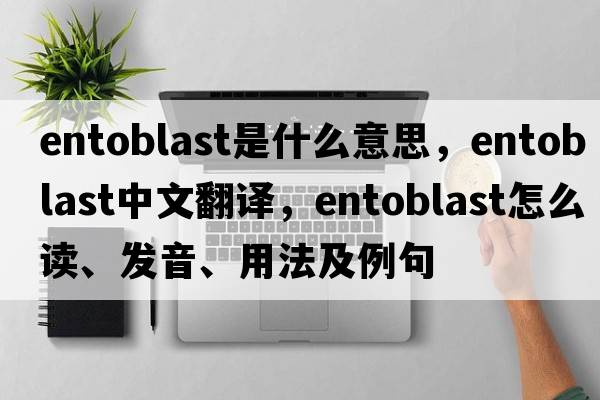entoblast是什么意思，entoblast中文翻譯，entoblast怎么讀、發(fā)音、用法及例句