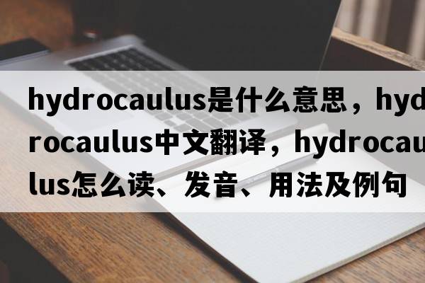 hydrocaulus是什么意思，hydrocaulus中文翻譯，hydrocaulus怎么讀、發(fā)音、用法及例句