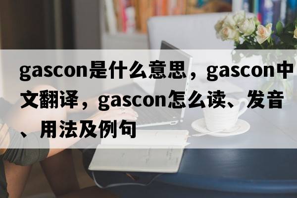 Gascon是什么意思，Gascon中文翻譯，Gascon怎么讀、發(fā)音、用法及例句