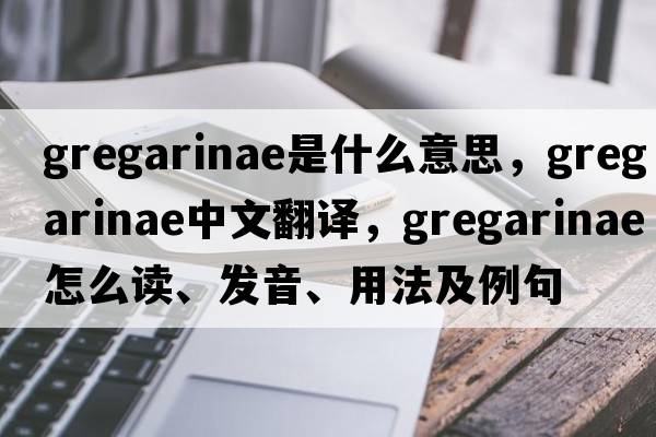 gregarinae是什么意思，gregarinae中文翻譯，gregarinae怎么讀、發(fā)音、用法及例句
