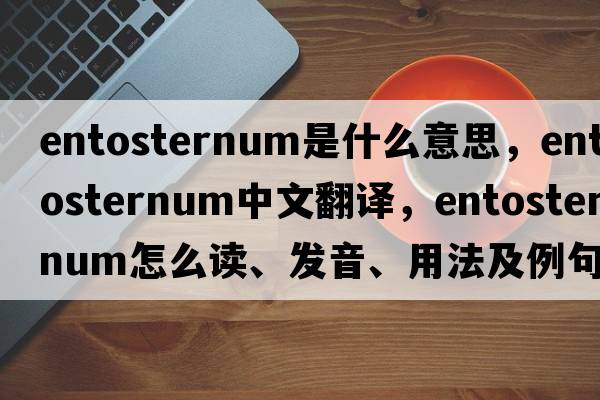 entosternum是什么意思，entosternum中文翻譯，entosternum怎么讀、發(fā)音、用法及例句