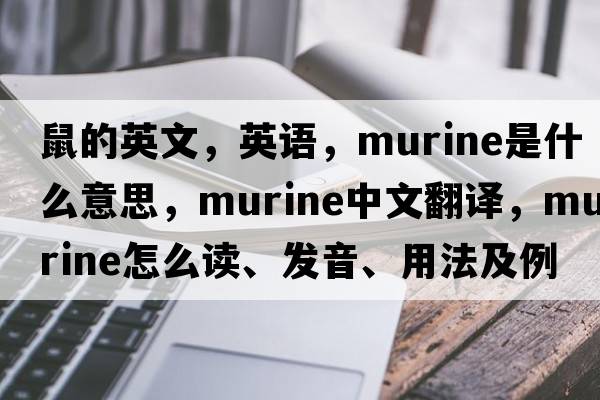 鼠的英文，英語(yǔ)，murine是什么意思，murine中文翻譯，murine怎么讀、發(fā)音、用法及例句
