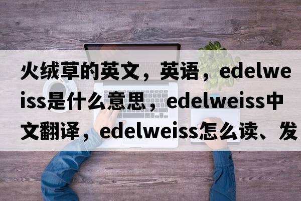 火絨草的英文，英語(yǔ)，edelweiss是什么意思，edelweiss中文翻譯，edelweiss怎么讀、發(fā)音、用法及例句