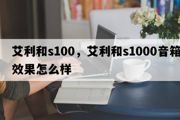 艾利和s100，艾利和s1000音箱效果怎么樣