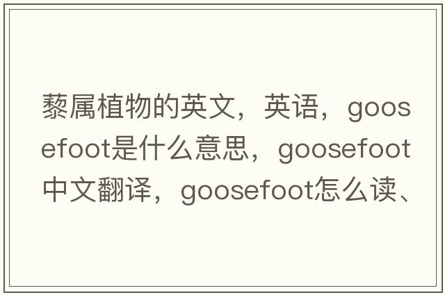 藜屬植物的英文，英語(yǔ)，goosefoot是什么意思，goosefoot中文翻譯，goosefoot怎么讀、發(fā)音、用法及例句