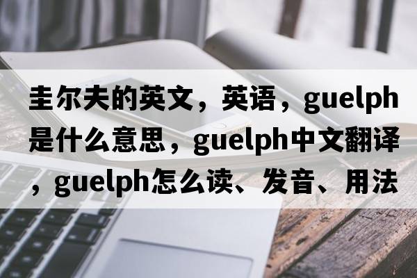 圭爾夫的英文，英語(yǔ)，Guelph是什么意思，Guelph中文翻譯，Guelph怎么讀、發(fā)音、用法及例句