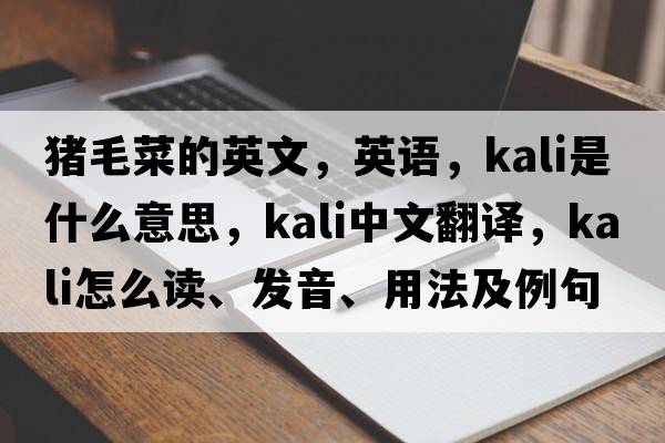 豬毛菜的英文，英語(yǔ)，kali是什么意思，kali中文翻譯，kali怎么讀、發(fā)音、用法及例句