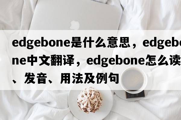 edgebone是什么意思，edgebone中文翻譯，edgebone怎么讀、發(fā)音、用法及例句