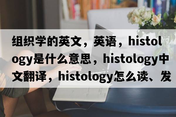 組織學(xué)的英文，英語(yǔ)，histology是什么意思，histology中文翻譯，histology怎么讀、發(fā)音、用法及例句
