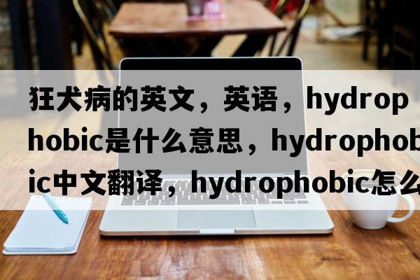 狂犬病的英文，英語(yǔ)，hydrophobic是什么意思，hydrophobic中文翻譯，hydrophobic怎么讀、發(fā)音、用法及例句
