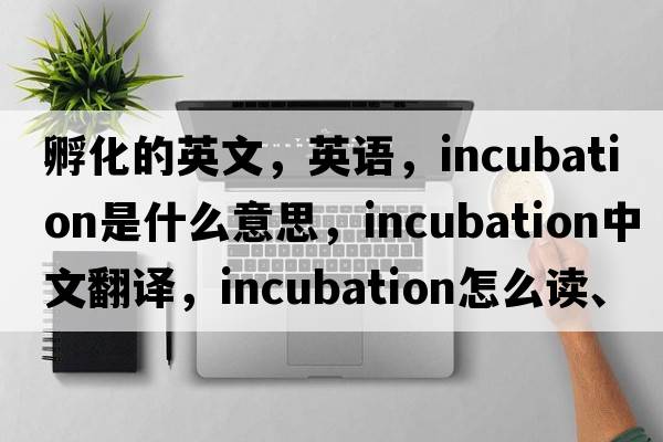 孵化的英文，英語(yǔ)，incubation是什么意思，incubation中文翻譯，incubation怎么讀、發(fā)音、用法及例句