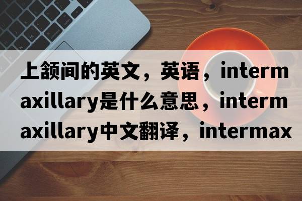 上頷間的英文，英語(yǔ)，intermaxillary是什么意思，intermaxillary中文翻譯，intermaxillary怎么讀、發(fā)音、用法及例句