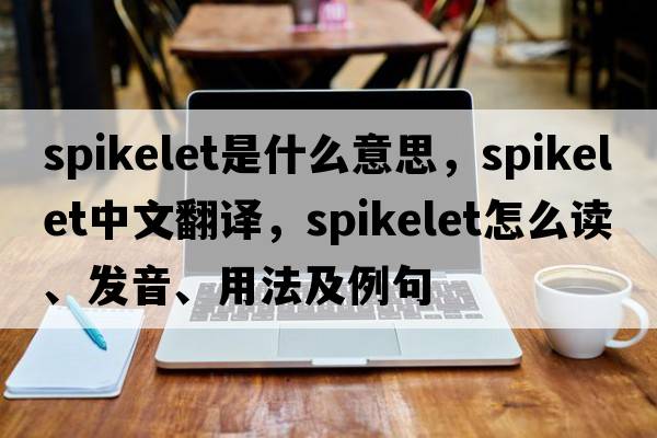 spikelet是什么意思，spikelet中文翻譯，spikelet怎么讀、發(fā)音、用法及例句