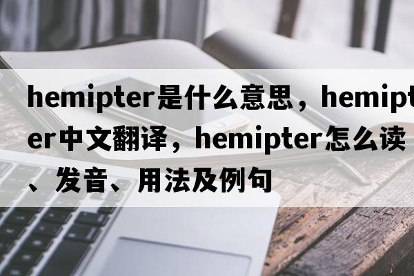 hemipter是什么意思，hemipter中文翻譯，hemipter怎么讀、發(fā)音、用法及例句