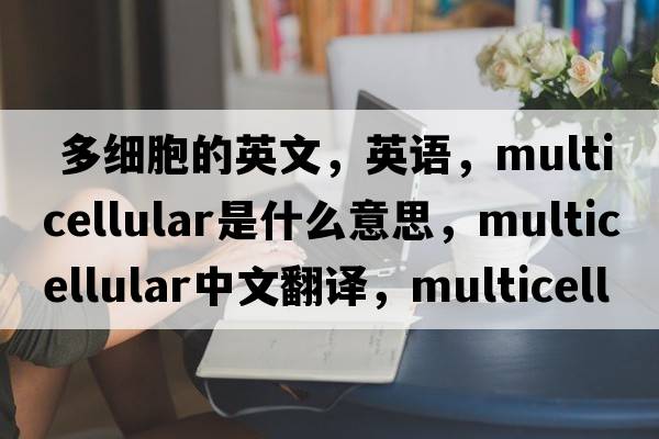  多細胞的英文，英語(yǔ)，multicellular是什么意思，multicellular中文翻譯，multicellular怎么讀、發(fā)音、用法及例句