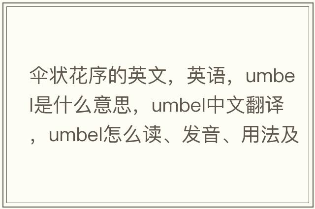 傘狀花序的英文，英語(yǔ)，umbel是什么意思，umbel中文翻譯，umbel怎么讀、發(fā)音、用法及例句