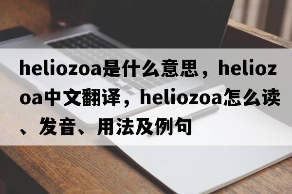 Heliozoa是什么意思，Heliozoa中文翻譯，Heliozoa怎么讀、發(fā)音、用法及例句
