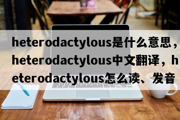 heterodactylous是什么意思，heterodactylous中文翻譯，heterodactylous怎么讀、發(fā)音、用法及例句