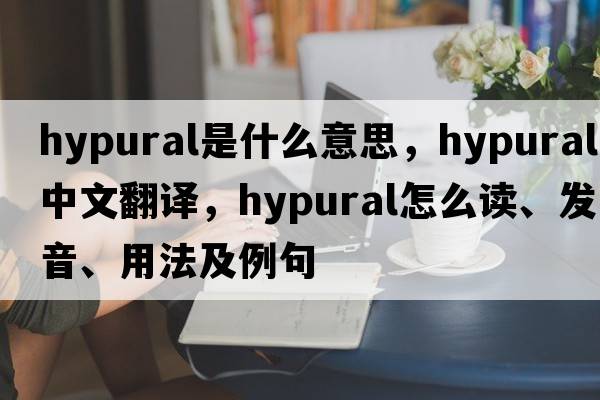 hypural是什么意思，hypural中文翻譯，hypural怎么讀、發(fā)音、用法及例句