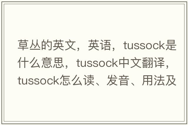 草叢的英文，英語(yǔ)，tussock是什么意思，tussock中文翻譯，tussock怎么讀、發(fā)音、用法及例句