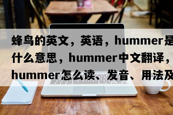 蜂鳥(niǎo)的英文，英語(yǔ)，hummer是什么意思，hummer中文翻譯，hummer怎么讀、發(fā)音、用法及例句
