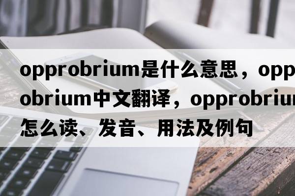opprobrium是什么意思，opprobrium中文翻譯，opprobrium怎么讀、發(fā)音、用法及例句