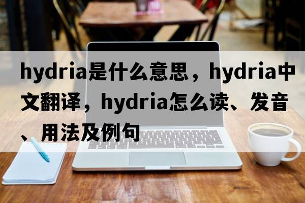 hydria是什么意思，hydria中文翻譯，hydria怎么讀、發(fā)音、用法及例句