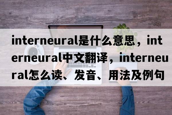 interneural是什么意思，interneural中文翻譯，interneural怎么讀、發(fā)音、用法及例句
