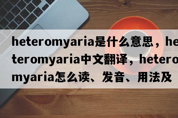 heteromyaria是什么意思，heteromyaria中文翻譯，heteromyaria怎么讀、發(fā)音、用法及例句