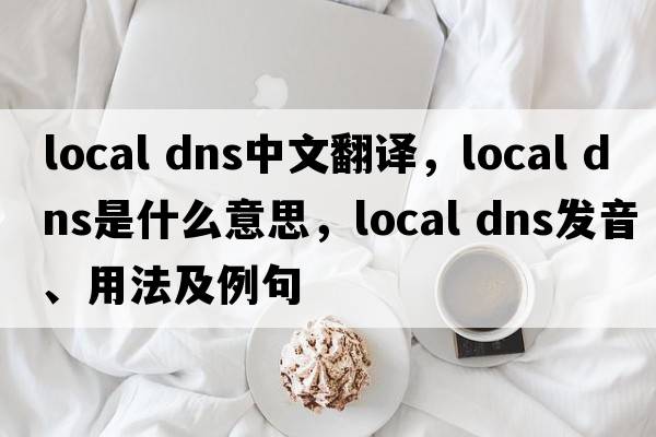 local dns中文翻譯，local dns是什么意思，local dns發(fā)音、用法及例句