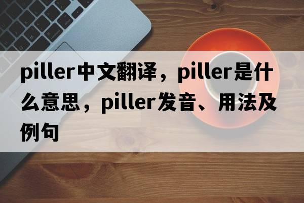 piller中文翻譯，piller是什么意思，piller發(fā)音、用法及例句