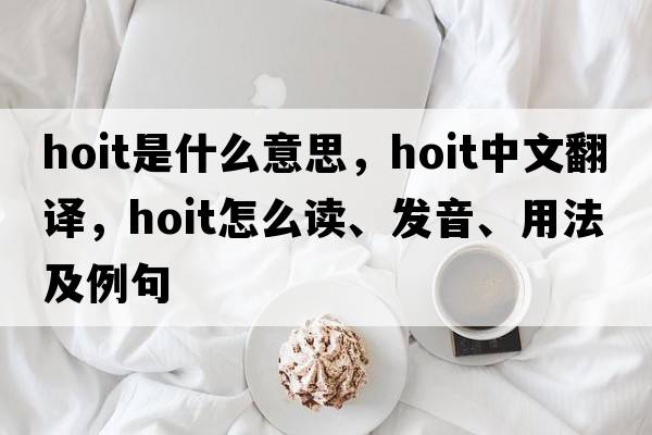 Hoit是什么意思，Hoit中文翻譯，Hoit怎么讀、發(fā)音、用法及例句