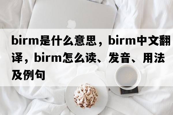Birm是什么意思，Birm中文翻譯，Birm怎么讀、發(fā)音、用法及例句
