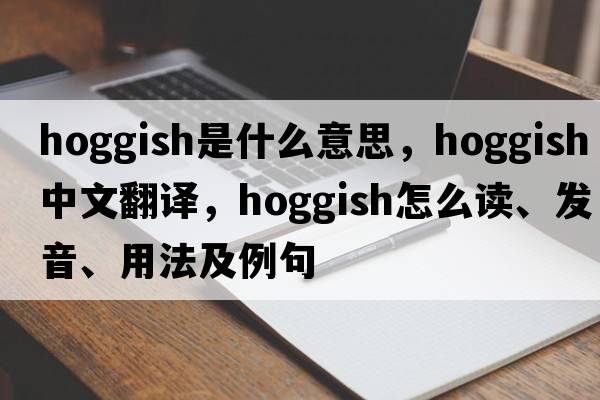 hoggish是什么意思，hoggish中文翻譯，hoggish怎么讀、發(fā)音、用法及例句