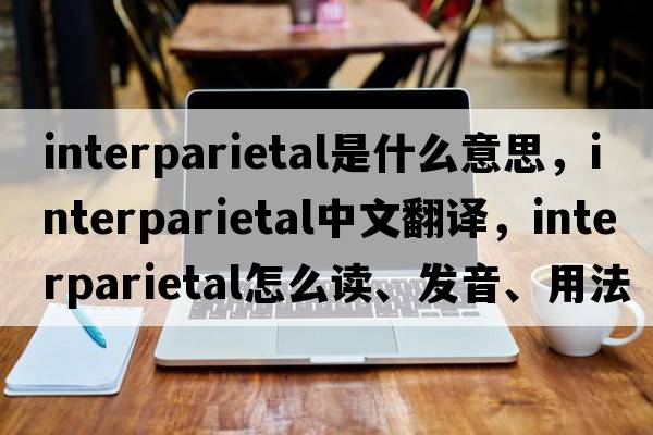 interparietal是什么意思，interparietal中文翻譯，interparietal怎么讀、發(fā)音、用法及例句