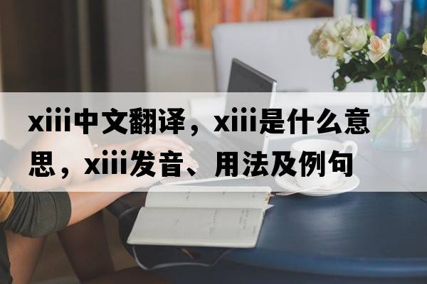 XIII中文翻譯，XIII是什么意思，XIII發(fā)音、用法及例句