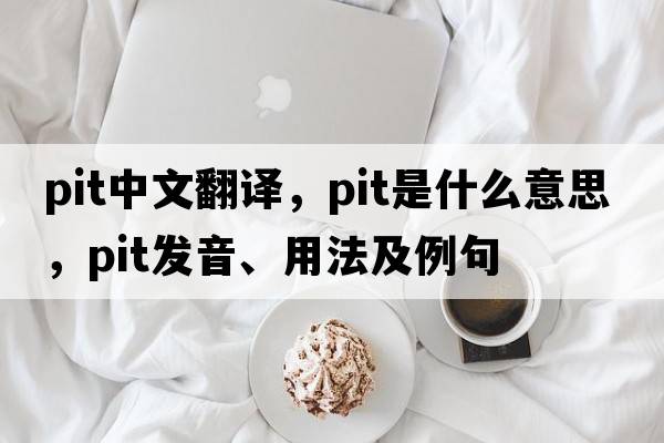 pit中文翻譯，pit是什么意思，pit發(fā)音、用法及例句