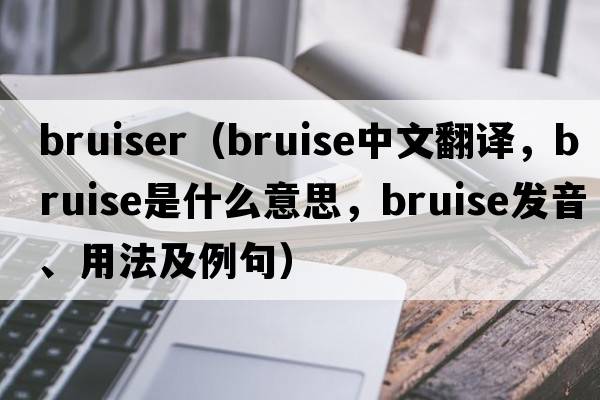 bruiser（bruise中文翻譯，bruise是什么意思，bruise發(fā)音、用法及例句）